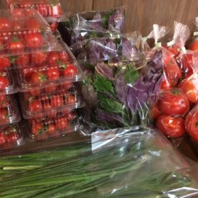 八重瀬町 久手堅憲也さん、糸満市 金城聡さんの自然栽培・無農薬栽培の野菜が入荷しました！