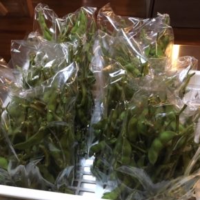 八重瀬町 島袋悟さんの自然栽培の枝豆が入荷しました！