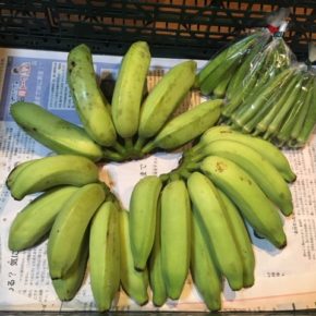 北中城村 ソルファコミュニティさん自然栽培の角オクラ・丸オクラ・ブラジル島バナナが入荷しました！