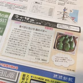 琉球新報「レキオ」でも紹介した、糸満市 金城さんの無農薬栽培の県産アボカドが再入荷しました。 今シーズン最後の入荷です。