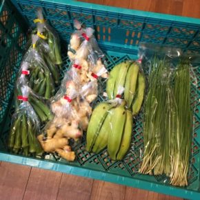 うるま市 玉城勉さんの自然栽培の丸オクラ・生姜、北中城村 ソルファコミュニティさんの自然栽培のブラジル島バナナ・ニラが入荷しました！
