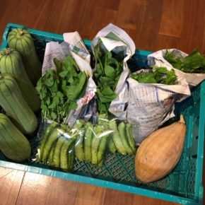 今帰仁村 片岡農園さんの有機無農薬栽培の野菜が入荷しました！