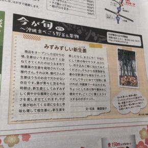 昨日発行の「週刊レキオ」でご紹介させて頂いた、マサヨさんの無農薬栽培の新生姜が入荷しています！