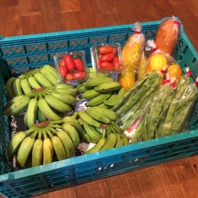 うるま市 玉城勉さんの無農薬栽培の黄輝バナナ、八重瀬町 島袋悟さんの自然栽培のミニトマト・モーウィ・モロッコインゲンが入荷しました！