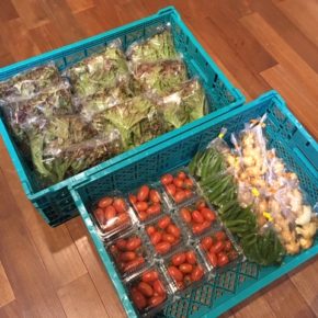 うるま市 玉城勉さんの無農薬栽培の新生姜・丸オクラ、八重瀬町 島袋悟さんの自然栽培のミニトマト・サニーレタスが入荷しました！