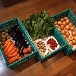 やんばるから森さんの無農薬野菜が入荷しました！本日は小松菜・玉ねぎ・人参・ミニトマト・大玉トマト・なす・マッシュルームが入りました。