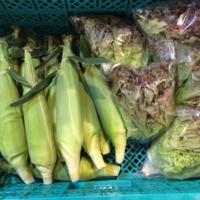 八重瀬町島袋悟さんの自然栽培のトウモロコシ・サニーレタス、南風原町 いもり屋さんの自然栽培の人参・サラダ菜が入荷しました！