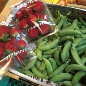 国頭村 森岡いちご農園さんの無農薬・無肥料・露地栽培のイチゴとスナップエンドウが入荷しました！