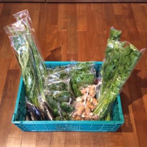 今帰仁村 片岡農園さんの無農薬野菜が入荷しました！本日は青じそ・生姜・なす・セロリ・ネギ・ツルムラサキ・空芯菜が入荷しました。