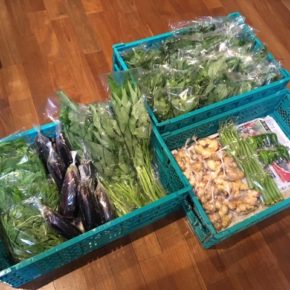 今帰仁村 片岡農園さんの無農薬野菜が入荷しました！本日は青じそ・オクラ・生姜・なす・ピーマン・モロヘイヤ・ツルムラサキ・空芯菜が入荷しました。