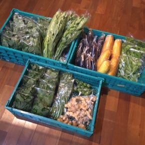 今帰仁村 片岡農園さんの無農薬野菜が入荷しました！モーウィ・青じそ・オクラ・生姜・なす・ピーマン・モロヘイヤ・ツルムラサキ・空芯菜が入荷しました。