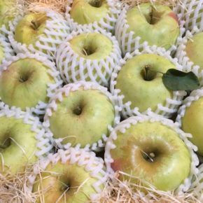 山口県からもぎたての低農薬りんごが再入荷しました！今回も甘味と食感の良い「ふじ」と「ぐんま名月」です。