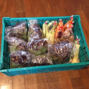 八重瀬町 島袋悟さんの自然栽培のサニーレタス・人参・新玉ねぎ・ビーツが入荷しました！