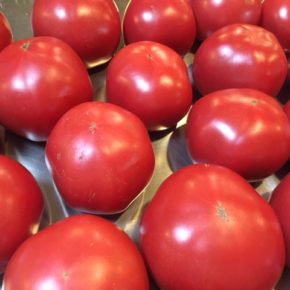 名護オーシッタイ 嘉数農園さんの固定種・無農薬栽培の大玉トマトが入荷しました！ これから色々な種類のトマトが予定されています。どうぞお楽しみに〜。