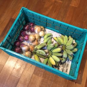 うるま市 玉城勉さんの自然栽培の銀バナナ、南風原町 いもり屋さんの有機無農薬栽培の新タマネギ・赤玉ねぎが入荷しました！
