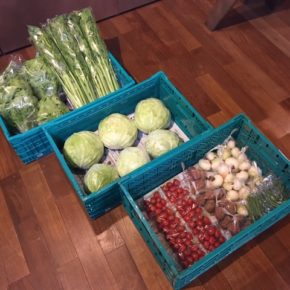 今帰仁村 片岡農園さんの無農薬栽培のレタス・キャベツ・セロリ・ミニトマト・新玉ねぎ・インゲン・ジャガイモが入荷しました！