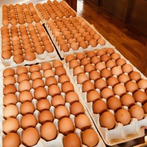 山口県 秋川牧園の卵・鶏肉が入荷しました！ 卵はバラ売りで販売しますので、できましたら卵ケースをご持参下さい。 秋川牧園の卵の黄身は自然な黄色。卵臭さもないので卵かけご飯でも美味しいです。