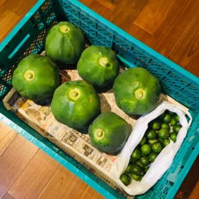西原町 呉屋エイ子さんの無農薬栽培のパパイヤ・シークワーサーが入荷しました！  パパイヤはタイ風サラダのソムタムにしてお惣菜でもお出しします。