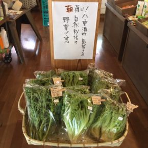 八重瀬町 島袋悟さんの自然栽培のサニーレタス・リーフレタス・ロメインレタス・玉ねぎ・じゃがいも・春菊が入荷しました！