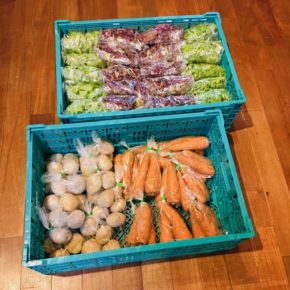 八重瀬町 島袋悟さんの自然栽培のサニーレタス・リーフレタス・ロメインレタス・人参・ジャガイモが入荷しました！