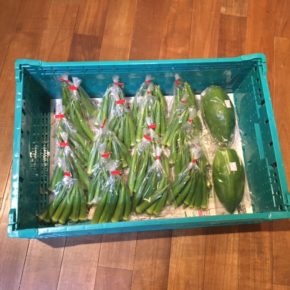 八重瀬町 島袋悟さんの自然栽培の丸オクラ、南風原町 いもり屋さんの有機無農薬栽培のパパイヤが入荷しました！