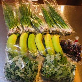 北中城村 ソルファコミュニティコミュニティさんの自然栽培のブラジル島バナナ・二十日ネギ・ローゼル・ヨモギが入荷しました！