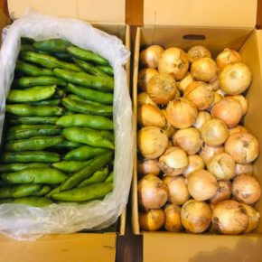 淡路島 花岡農恵園さんの自然栽培のそら豆と玉ねぎが到着しました。