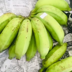 南風原町いもり屋さんの有機無農薬栽培のブラジル島バナナ。ぷっくりしてとても美味しそうです。