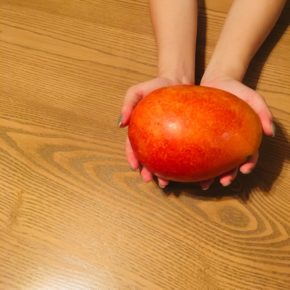 名護 松田農園さんの自然栽培のマンゴー。今年は二千個の収穫予定のところ予約が殺到していて、ハルラボにもようやく回って来た人気マンゴーです。このマンゴーはハルラボのマンゴーミルクアイスバーにも使っているんですよ。フルーツとアイスバー、ぜひ食べ比べてみてください。
