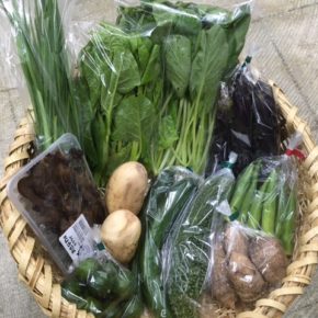 【第83回目】わが家のハルラボ商店『お野菜おまかせBOX』は台風の影響を避けるため先週金曜日に発送いたしました。今回の内容は自然栽培のれんこん・丸オクラ・にら・シークワーサー、  無農薬栽培の里芋・ツルムラサキ・ゴーヤー・なす・きゅうり・小松菜・きくらげをお送り致しました。