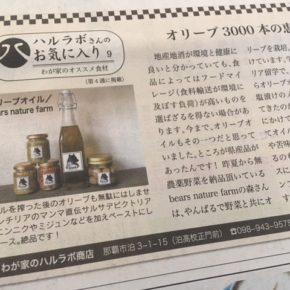 本日発行！琉球新報副読紙「レキオ」毎月第4木曜日発行号にてミニコラムを連載させて頂いています！ ※こちらクリックでご覧頂けます。