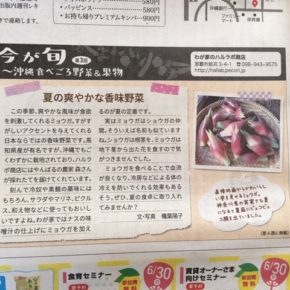 琉球新報副読紙「レキオ」にて、ミニコラム「今が旬～沖縄食べごろ野菜＆果物」の連載中！  毎月第4木曜日に旬な県産の野菜や果物をご紹介しています。