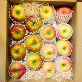 リンゴの季節がやってきましたよ～。  今年も山口県産 減農薬のリンゴが入荷しました！  今回の入荷は秋映・紅将軍・秋陽です。
