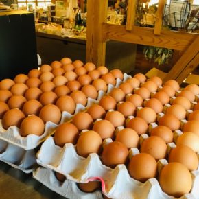 山口県 秋川牧園の卵・鶏肉が入荷しました！ 卵はバラ売りで販売しますので、できましたら卵ケースをご持参下さい。 秋川牧園の卵の黄身は自然な黄色。卵臭さもないので卵かけご飯でも美味しいです。