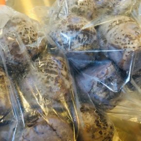 宜野座村 小谷あぜみち農園さんの有機無農薬栽培の田芋（ターンム）が入荷しました。  来週1/22の旧正月の食卓にどうぞ。