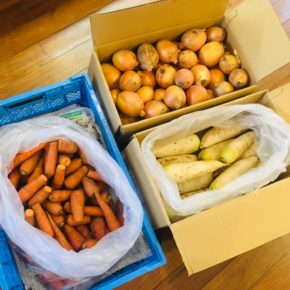 淡路島 洲本市の花岡農恵園さんの自然栽培の玉ねぎ・ダイコン・にんじんが入荷しました。