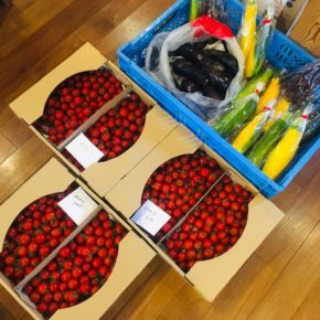 北海道札幌市 みのり彩園さんの自然栽培のミニトマト・ズッキーニ・なす・紫インゲンが入荷しました。