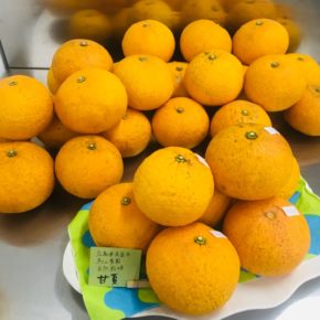 広島県尾道市、烏山農園さんの自然栽培の甘夏。甘さと酸味のバランスが良く、とにかく味が濃いのが特徴です。今季2回目の入荷ですが、こちらの甘夏は一度買われると、次はまとめ買いしていただけるというのも特徴です。